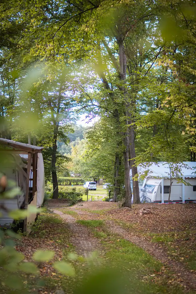 Waldcampingplatz