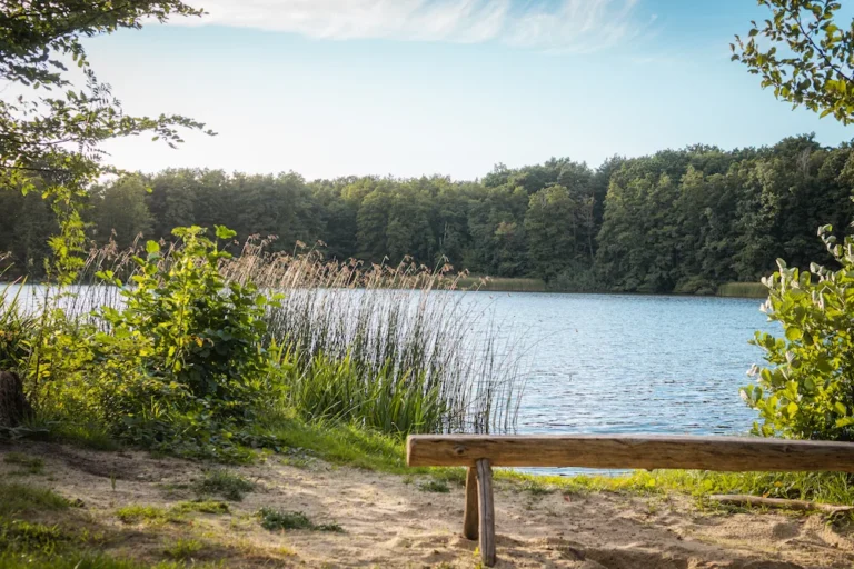 Waldsee
